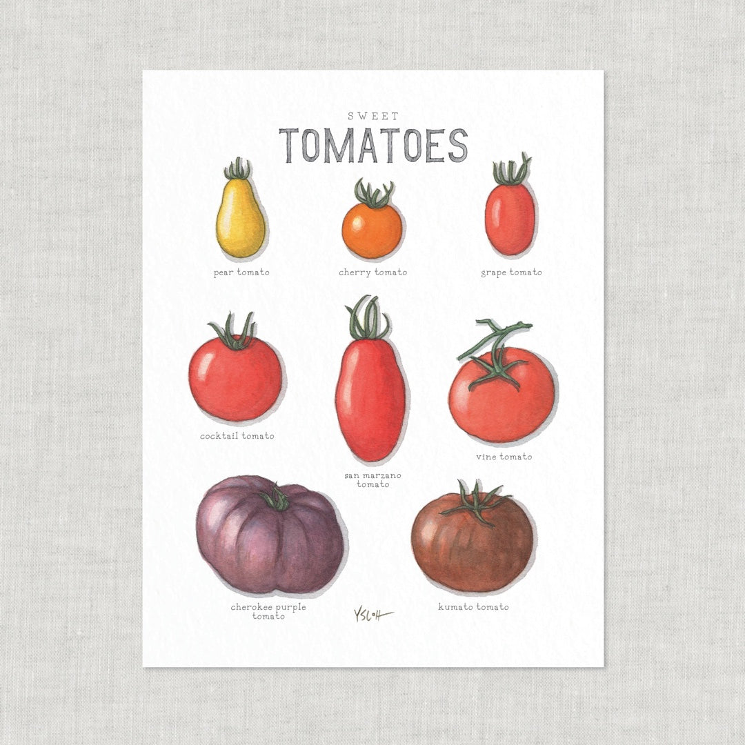 Poster Tomaten