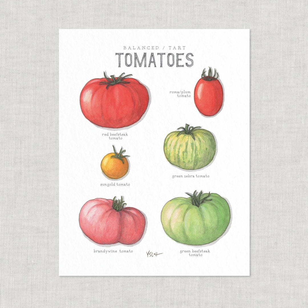 Poster Tomaten