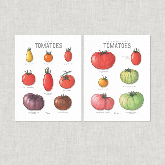 Poster Tomaten